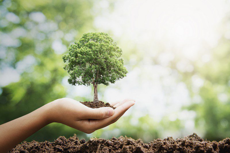 Plant nye træer med Circular Computing